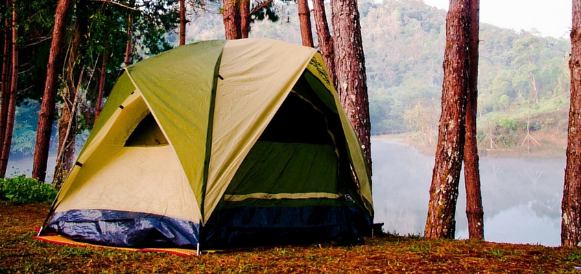 Five educational family holidays abroad