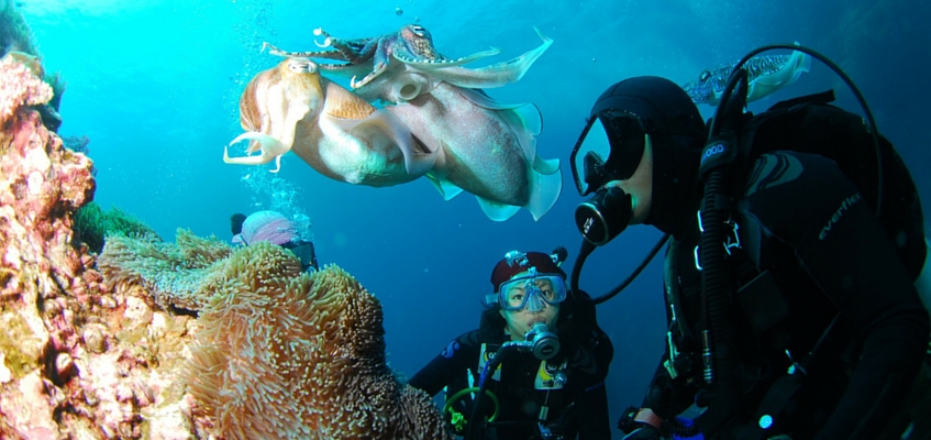 mercado inmobiliario españa